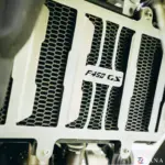 Zana- Radiator Guard SS Silver T-1 With F 450 GS Logo For BMW F 450 GS - Image 6